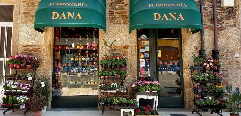 Floristería Dana